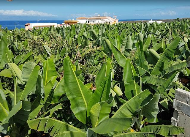 West Islands Properties